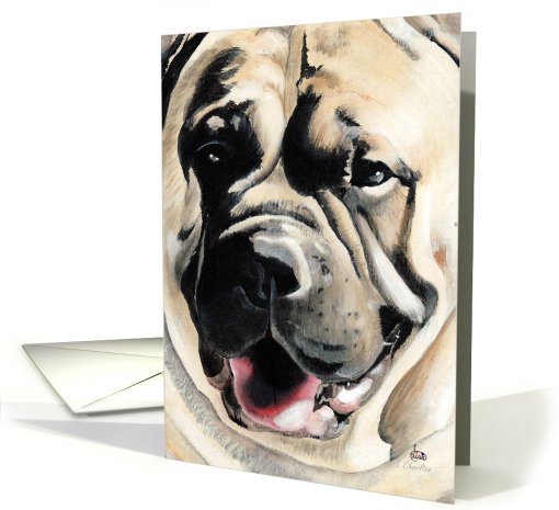 Mastiff Dog Breed Face Painting Portrait card (600197)