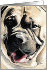 Mastiff Dog Breed Face Painting Portrait card