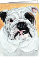 English Bulldog Dog Breed Painting Portrait card