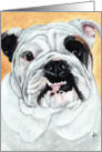 English Bulldog Dog Breed Painting Portrait card