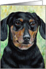 Black & Tan Dachshund Dog Breed Painting Portrait card