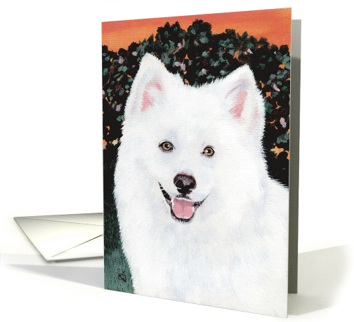 American Eskimo Samoyed Dog Breed Puppy Painting card (600230)