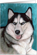 Siberian Husky Dog Breed Painting Portrait card