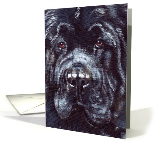 Black Newfoundland Dog Breed Close up Painting Portrait card (600602)
