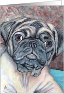 Pug Puppy Dog Breed Painting Portrait card