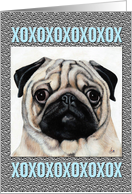 Pug Puppy Dog Breed xoxo Painting Portrait card