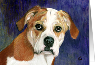 Boxer Bulldog Puppy Dog Breed Painting Portrait card
