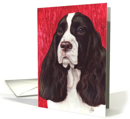 Springer Spaniel Dog Breed Painting Portrait card (600642)