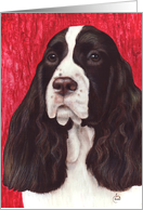 Springer Spaniel Dog Breed Painting Portrait card