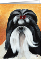 Shih Tzu Show Coat Dog Breed Painting Portrait card