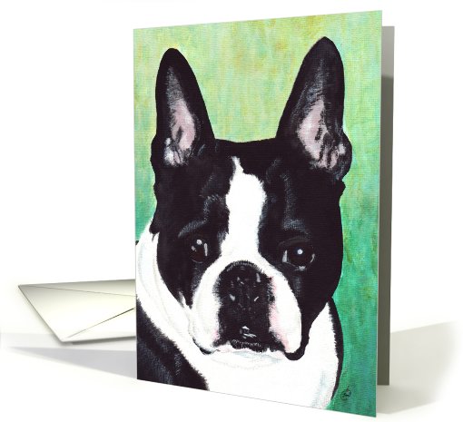 Boston Terrier Dog Breed Art Painting Portrait card (602146)