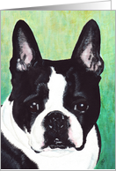 Boston Terrier Dog Breed Art Painting Portrait card