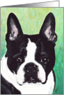 Boston Terrier Dog Breed Art Painting Portrait card