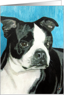 Boston Terrier Puppy Dog Breed Art Painting Portrait card