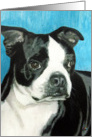 Boston Terrier Puppy Dog Breed Art Painting Portrait card