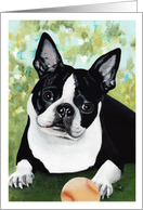 Boston Terrier Dog Breed Art Painting Portrait card