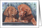 Cute Puppy Dogs Art Painting Portrait card