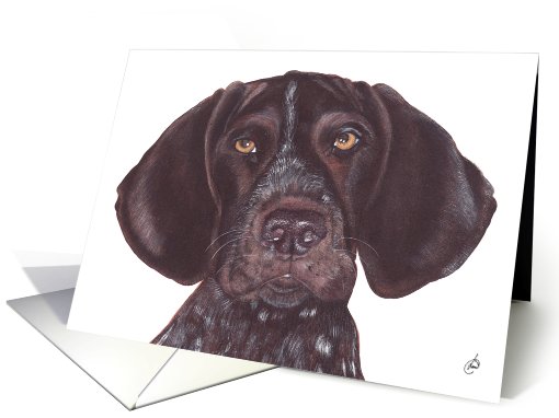 German Short-haired Pointer Dog Art Painting Portrait card (604668)