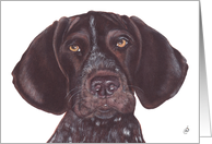 German Short-haired Pointer Dog Art Painting Portrait card