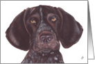 German Short-haired Pointer Dog Art Painting Portrait card