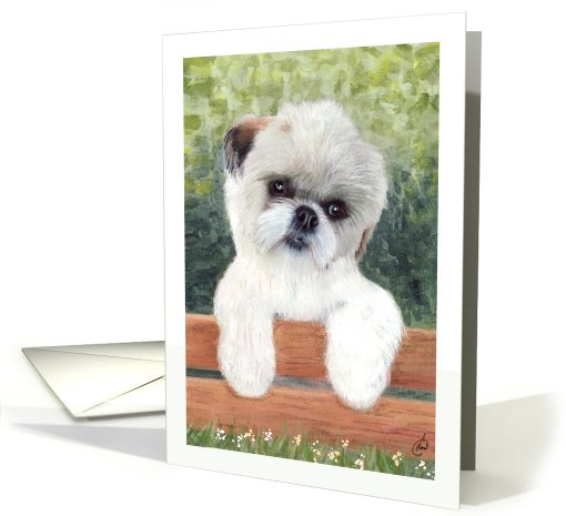 Shih Tzu Puppy Dog Art Painting Portrait card (604682)