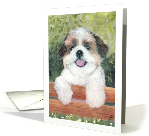 Shih Tzu Puppy Dog Art Painting Portrait card (604690)