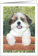 Shih Tzu Puppy Dog Art Painting Portrait card