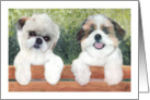 Cute Puppies Dog Art Painting Portrait card