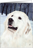 Great Pyrenees Mountain Dog Art Painting Portrait card