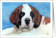 Saint Bernard Puppy Dog Art Painting Portrait card