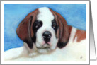 Saint Bernard Puppy Dog Art Painting Portrait card