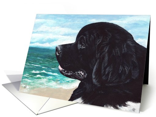 Newfoundland Dog Art Painting Portrait card (605178)