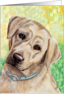Labrador Retriever Dog Art Painting Portrait card