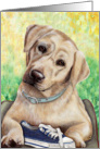 Labrador Retriever Puppy Dog Art Painting Portrait card