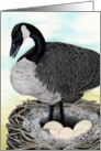 We’ve moved New Nest Announcement Goose Painting card