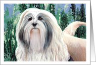 Lowchen Little Lion Dog Breed Painting card