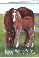 Happy Mother’s Day Mare and Foal Farm Horses card