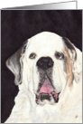 St. Bernard Dog Breed Painting card