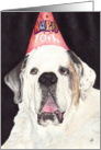 10th Tween Birthday Invite to benefit Animal Shelter card