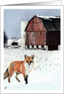 Red Fox WInter Barn Corn Field Scene card
