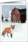 Red Fox WInter Barn Corn Field Scene card