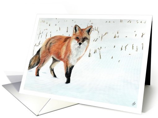 Red Fox Snowy Corn Field Painting card (683500)