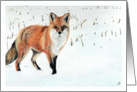 Red Fox Wildlife Painting card