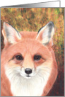 Ooh Foxy Lady Happy Birthday Wishes card