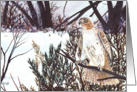 Red-Tailed Hawk’s Eye View Painting Any Occasion card