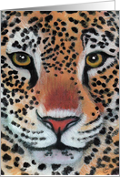 Leopard Jaguar...