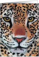 Leopard Jaguar Wildife Cat. Blank all occasion card