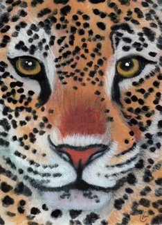 Leopard Jaguar...
