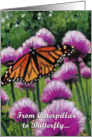 Caterpillar to Butterfly, Congratulations card