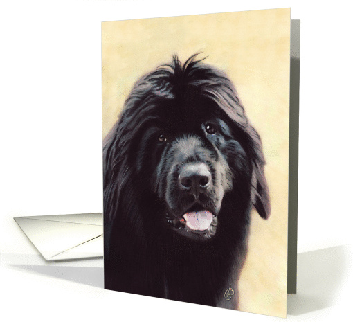 Newfoundland Dog Breed Painting card (70527)